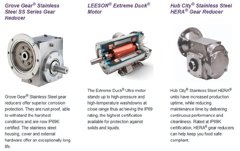 Leeson Washdown Duty Motors